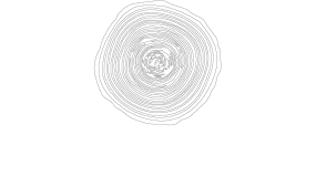 Il Pizzicante Opificio Gourmet Il Pizzicante Opificio Gourmet